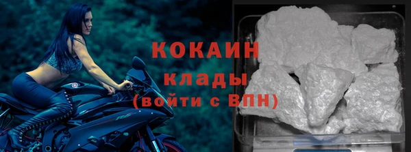 мдпв Кукмор
