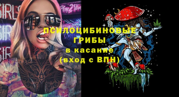 мдпв Кукмор